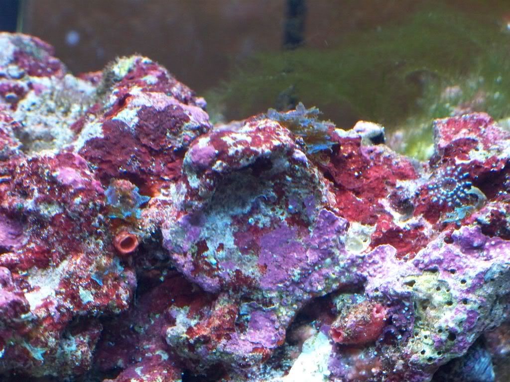 100_1245.jpg