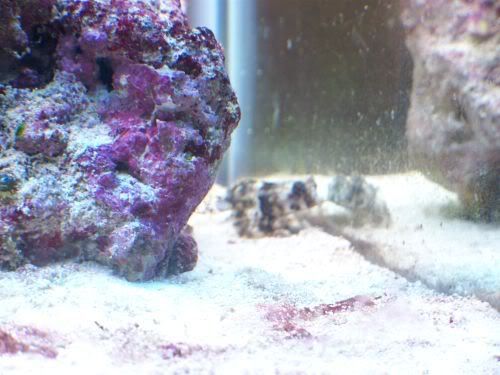 100_1306.jpg