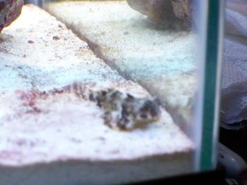 100_1324.jpg