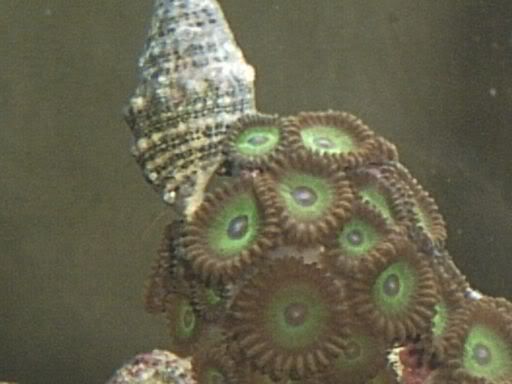 IMG00045.jpg