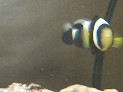 IMG00046.jpg