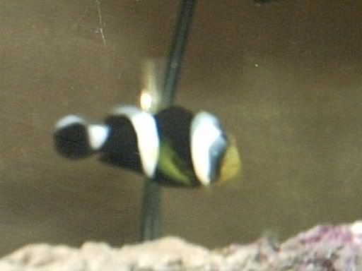 IMG00067.jpg