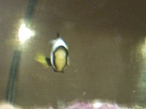 IMG00070.jpg