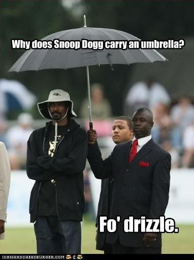 SnoopDogg-FoDrizzle.jpg