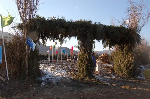 [Resim: DSC_3700.jpg]