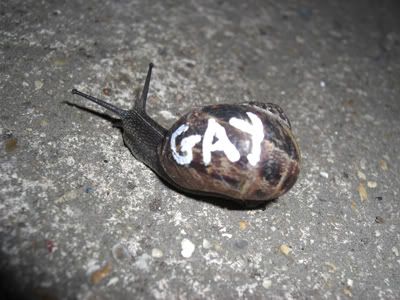 snail.jpg