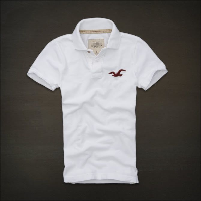 hollister mens polo