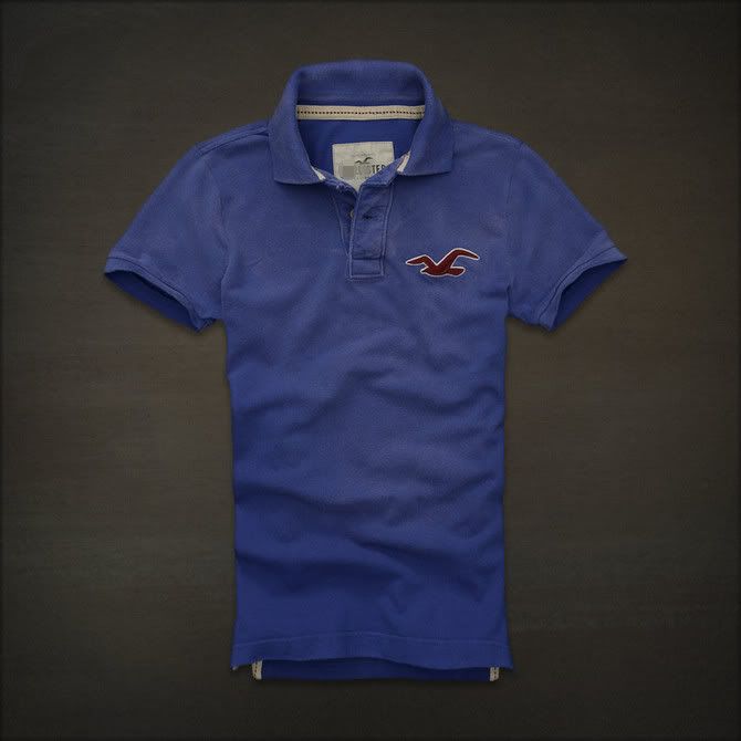 hollister mens polo