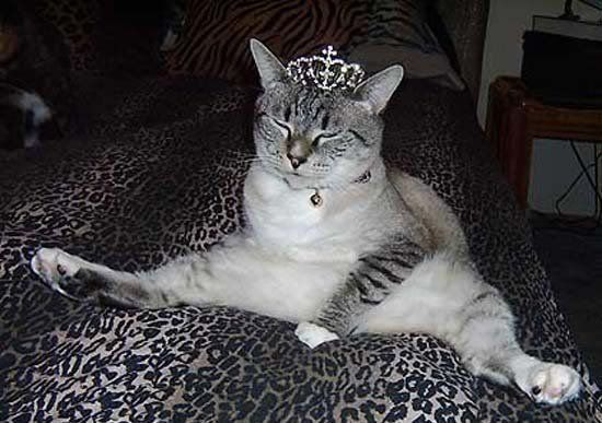 021_foto.jpg