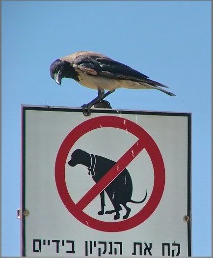 032_foto.jpg