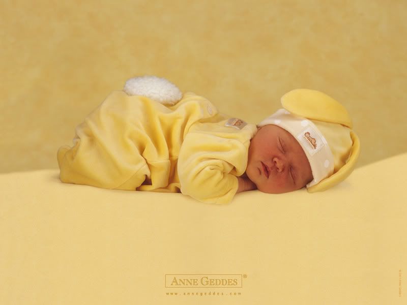 1153473679_anne_geddes_02.jpg