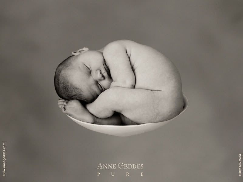 1153473679_anne_geddes_03.jpg