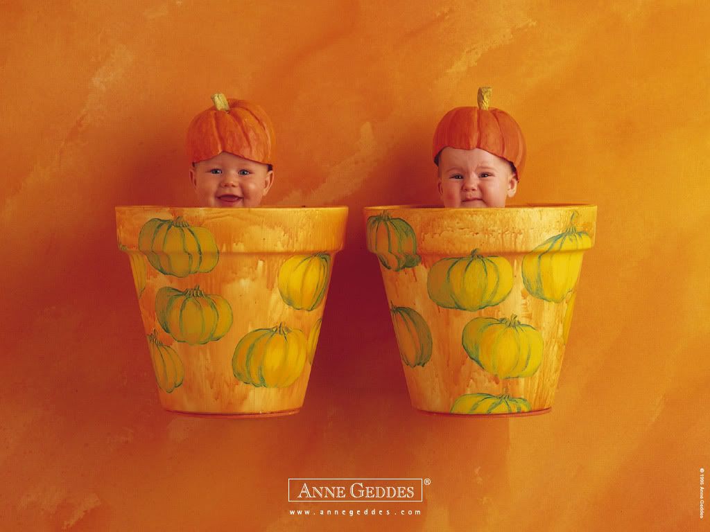 1153473679_anne_geddes_07.jpg