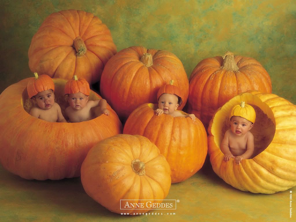 1153473679_anne_geddes_08.jpg