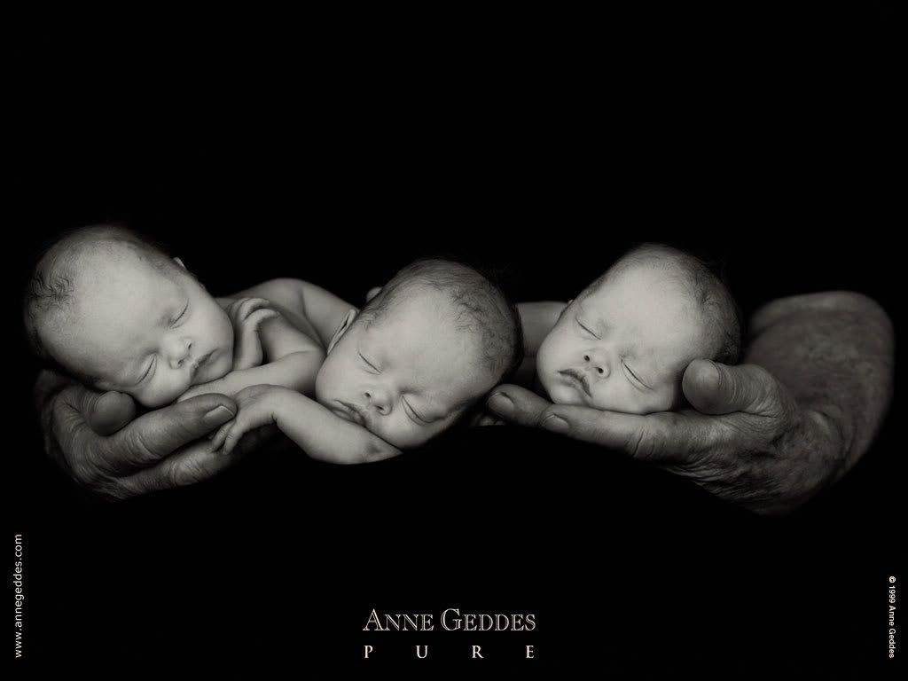 1153473679_anne_geddes_09.jpg