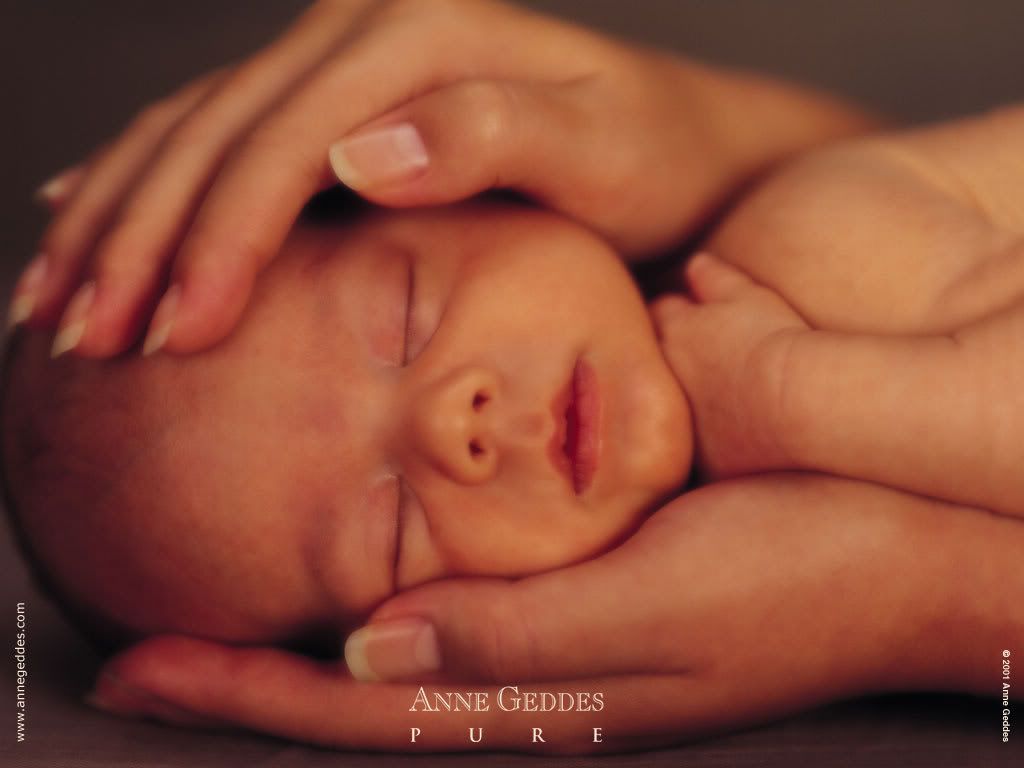 1153473679_anne_geddes_10.jpg