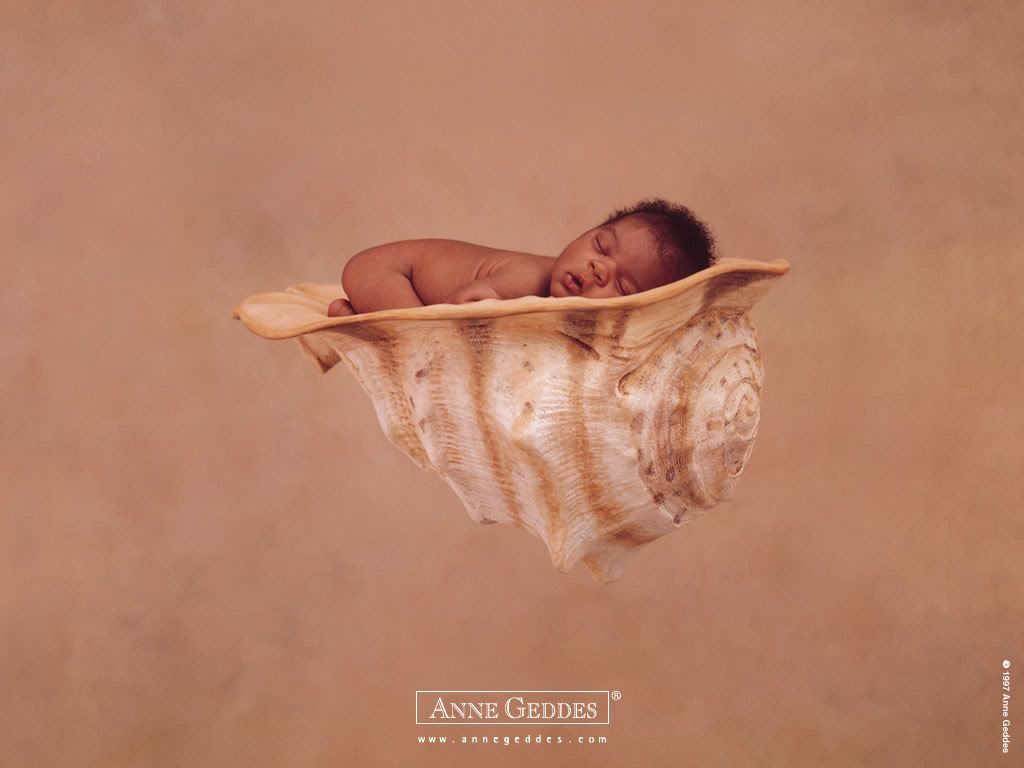 1153473679_anne_geddes_11.jpg