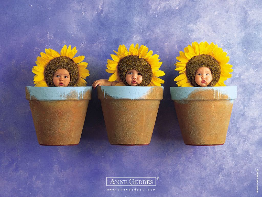 1153473679_anne_geddes_12.jpg