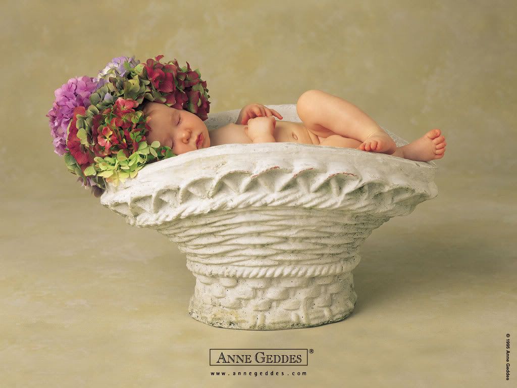 1153473742_anne_geddes_14.jpg