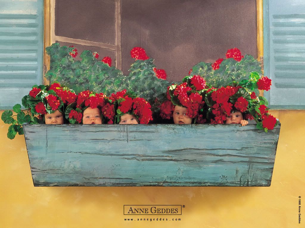 1153473742_anne_geddes_15.jpg