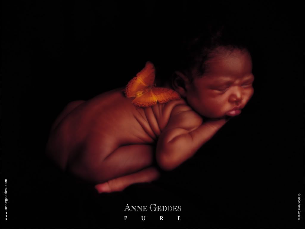 1153473742_anne_geddes_20.jpg