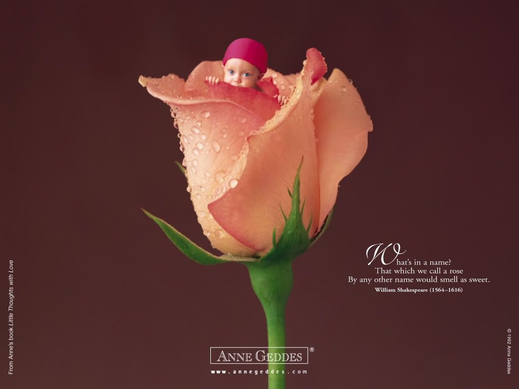 1153473742_anne_geddes_23.jpg