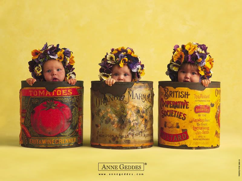 1153473782_anne_geddes_27.jpg