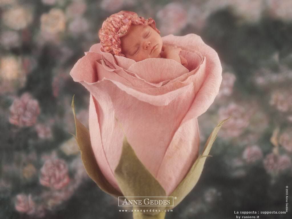 1153473782_anne_geddes_30.jpg