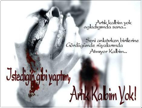 artkkalbmyokej7.jpg