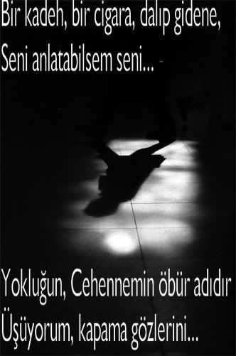 asimavi8_fjq61611bw3.jpg