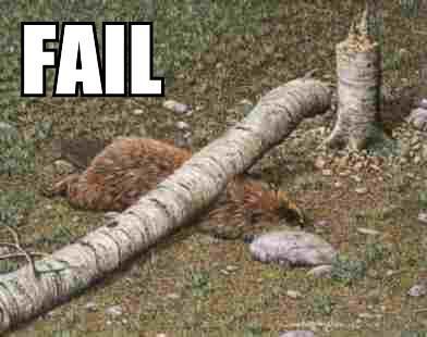 fail9.jpg