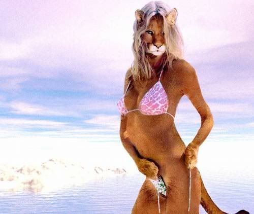 furrylionlady10jj1dnwf6.jpg
