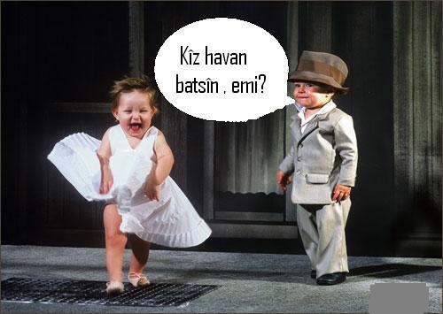 havanbatsin8gini2.png