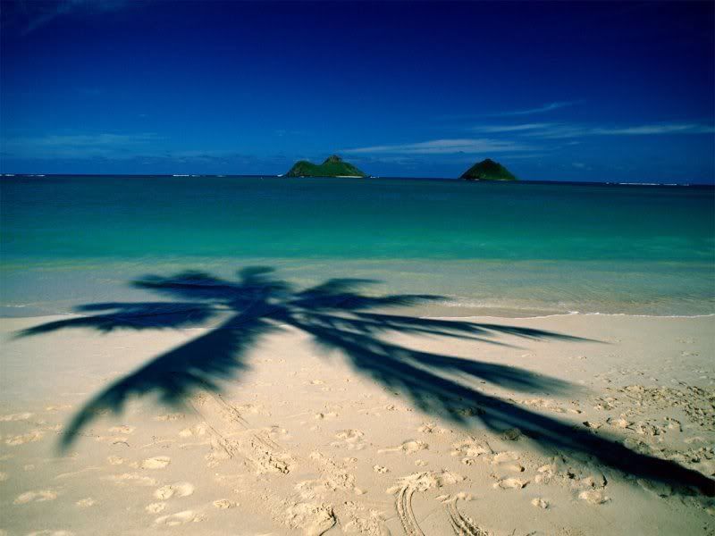 lanikaibeachoahuhawaiiax4.jpg