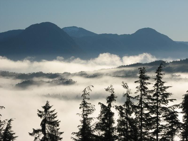 morningfogzy4.jpg
