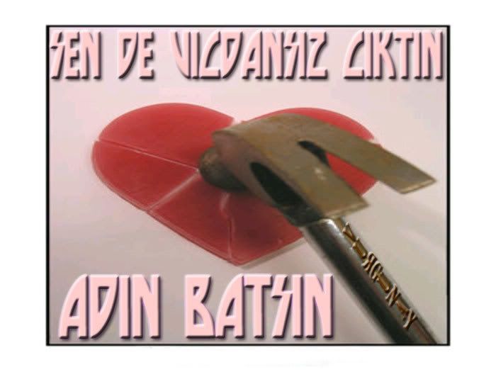 sendevicdansizciktinadiai8.jpg