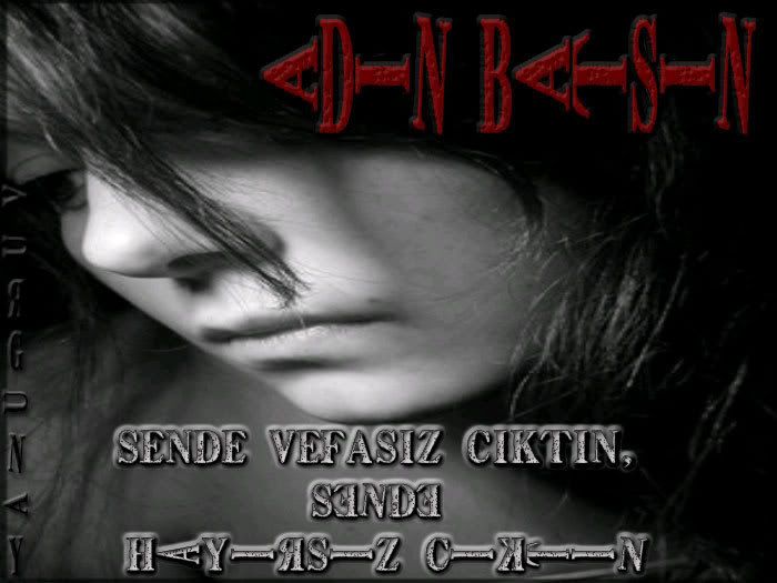 vefasizrx8.jpg