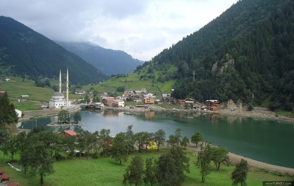 yildizzz_uzungol1.jpg