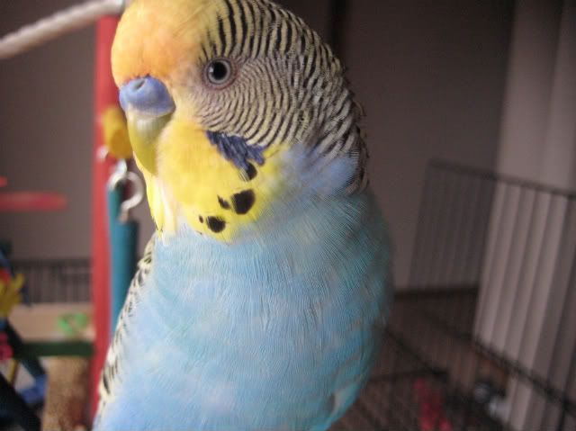 IMG_1573.jpg