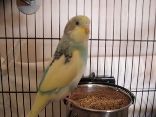 IMG_1757-1.jpg