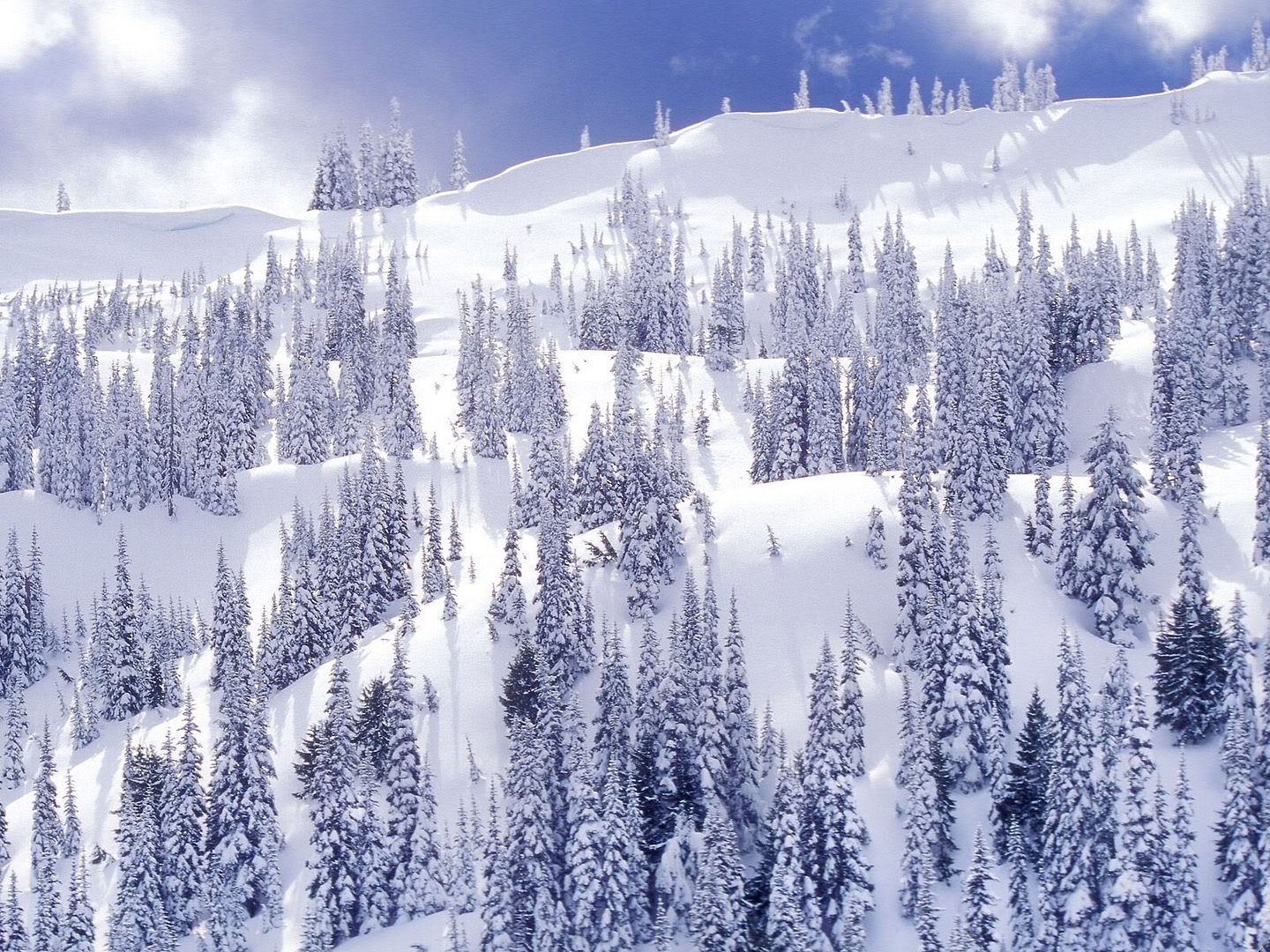 winter_wall001.jpg