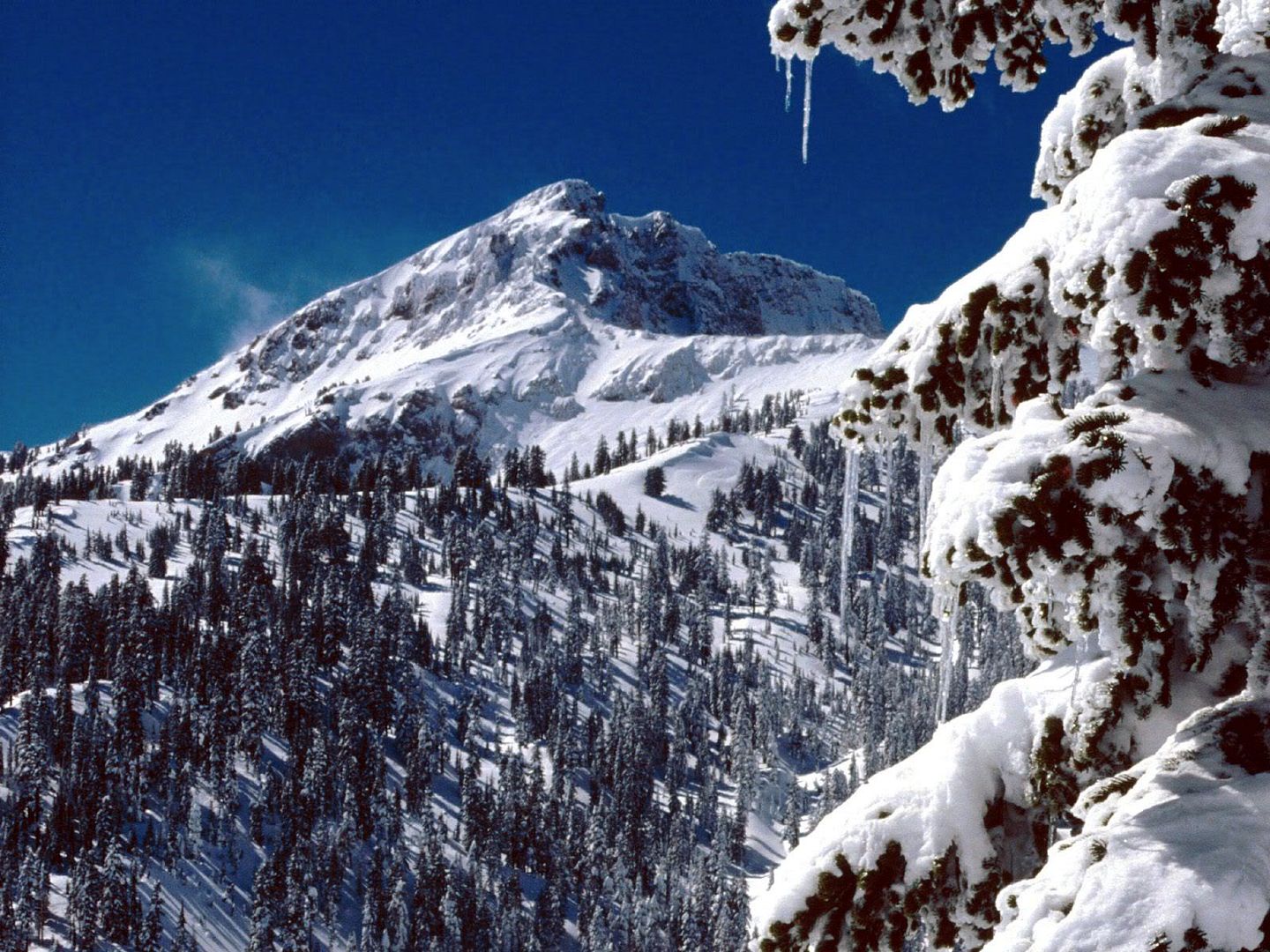 winter_wall005.jpg