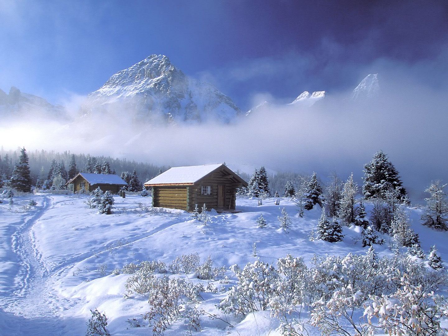 winter_wall006.jpg