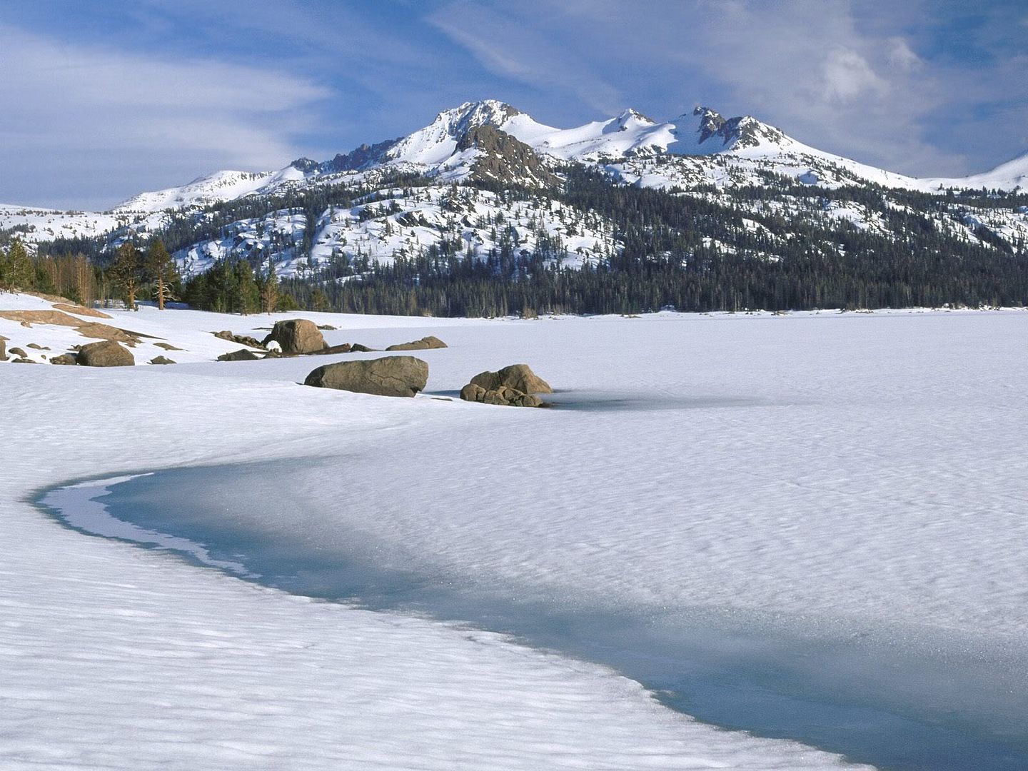 winter_wall007.jpg