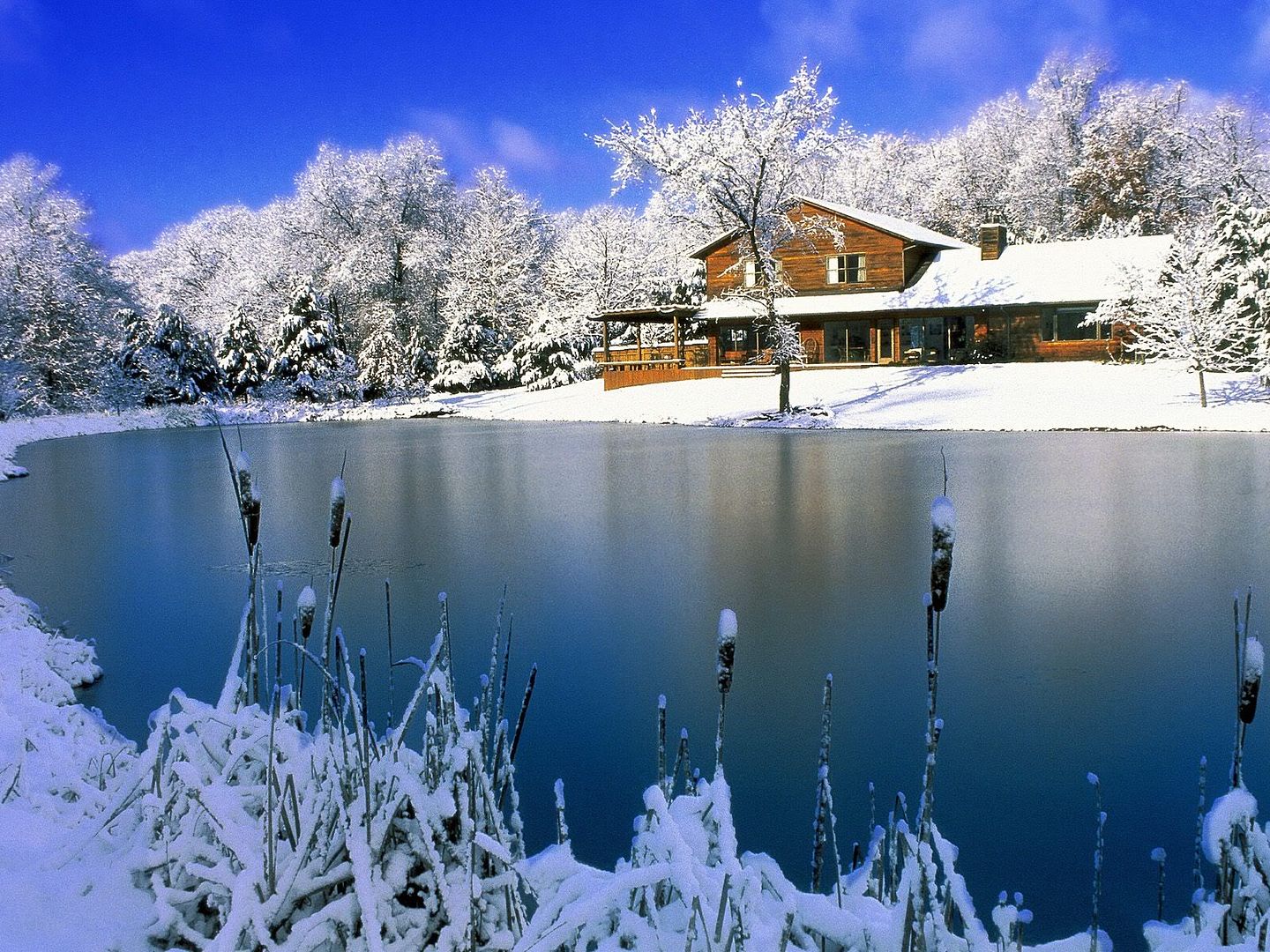 winter_wall009.jpg