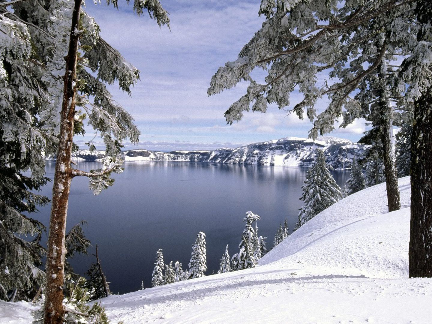 winter_wall010.jpg
