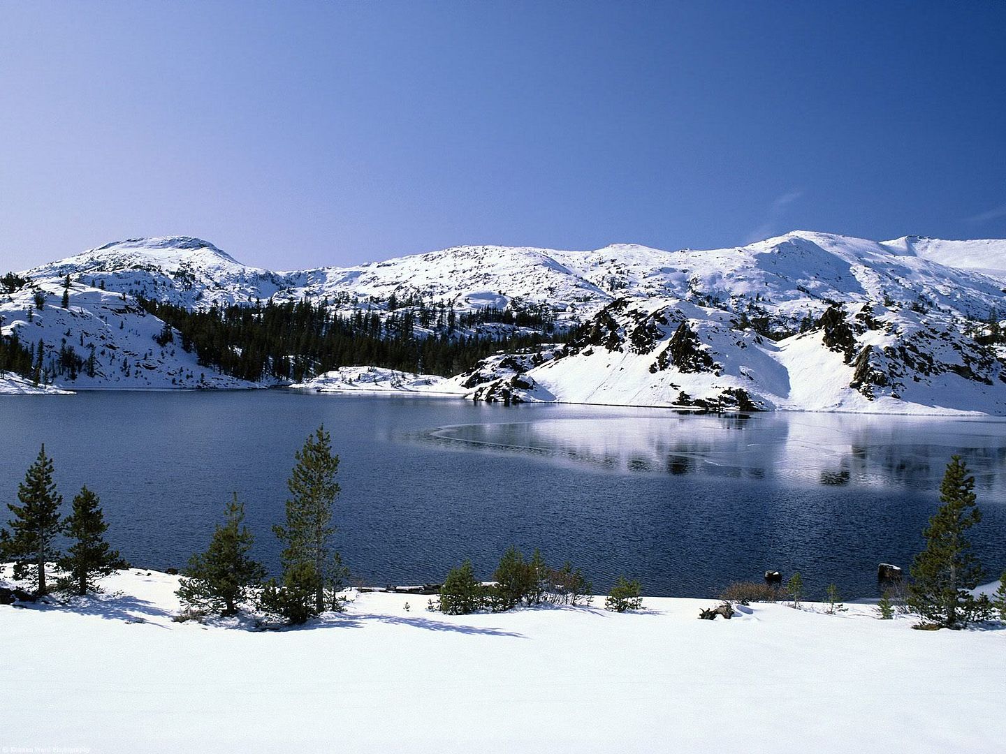 winter_wall011.jpg