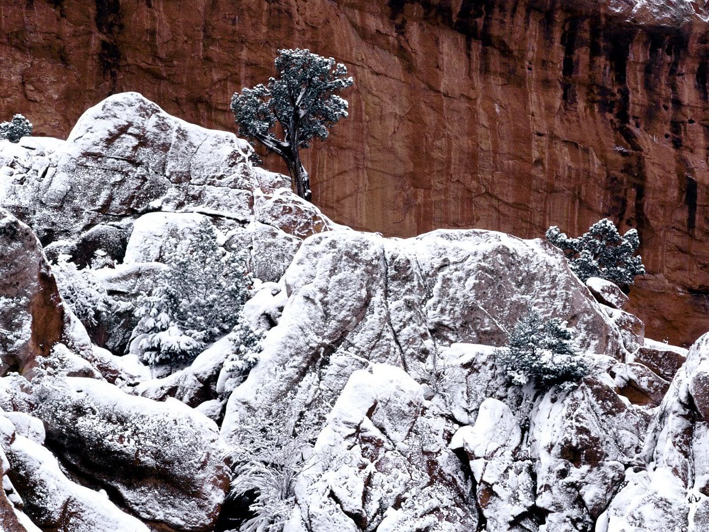 winter_wall013.jpg
