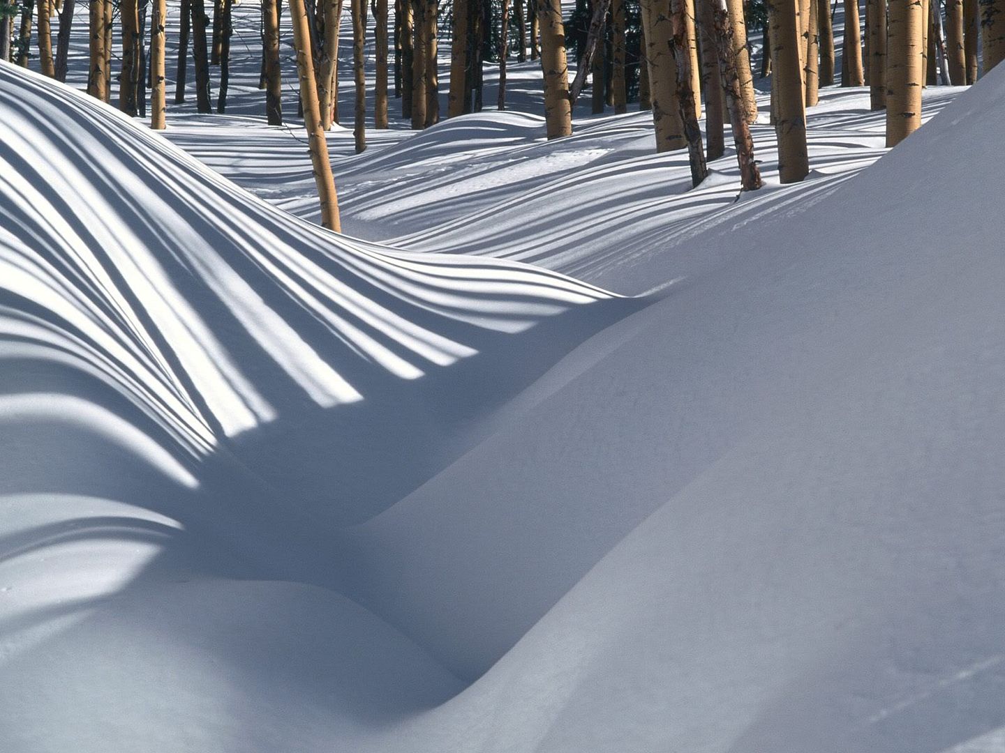 winter_wall016.jpg