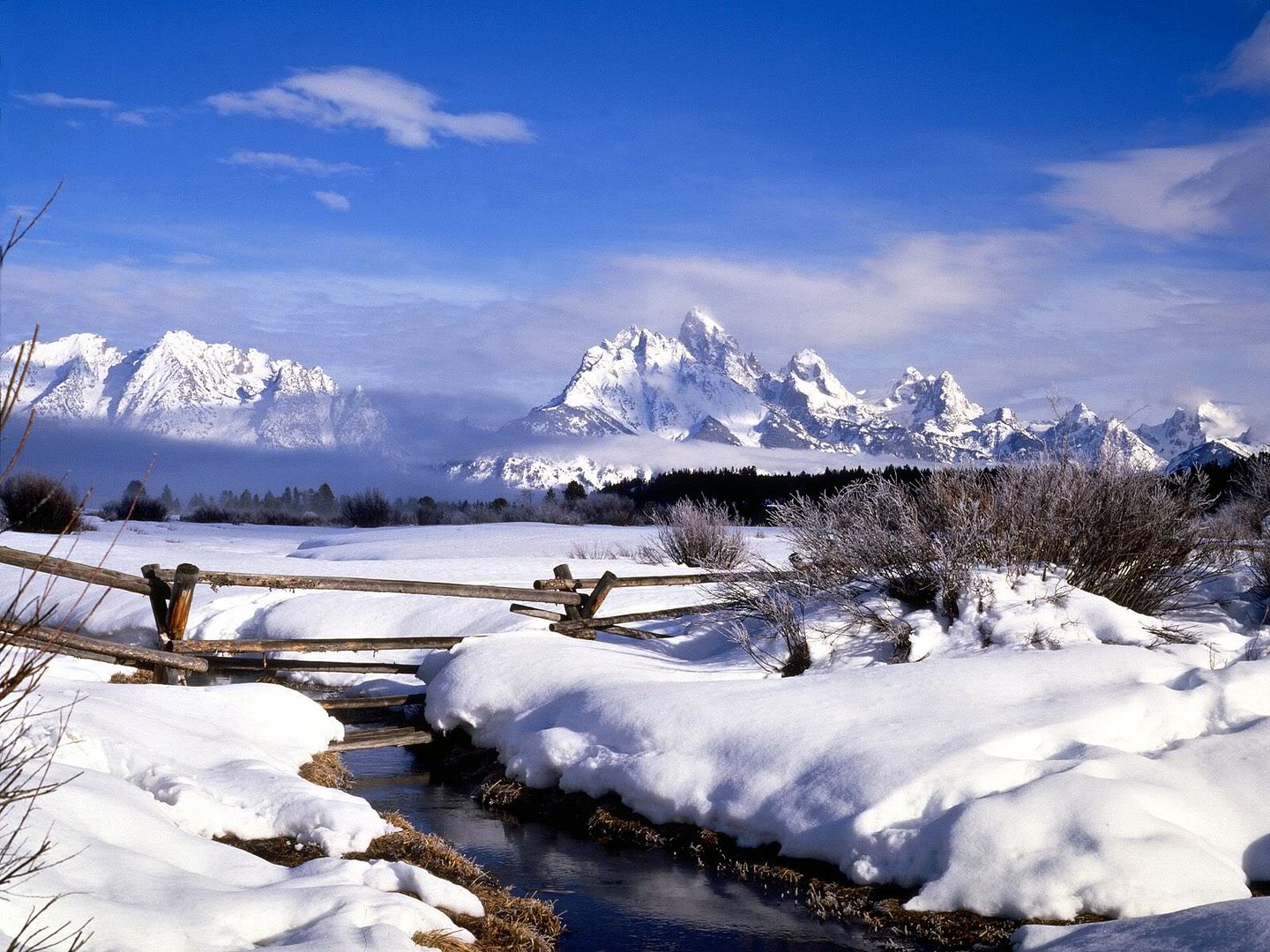 winter_wall017.jpg
